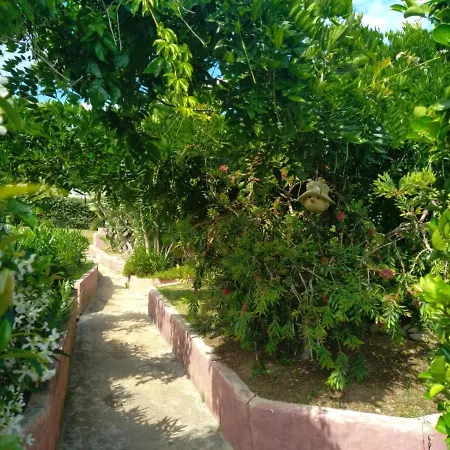 Le Rateau Bavoir Calvi  Exterior photo