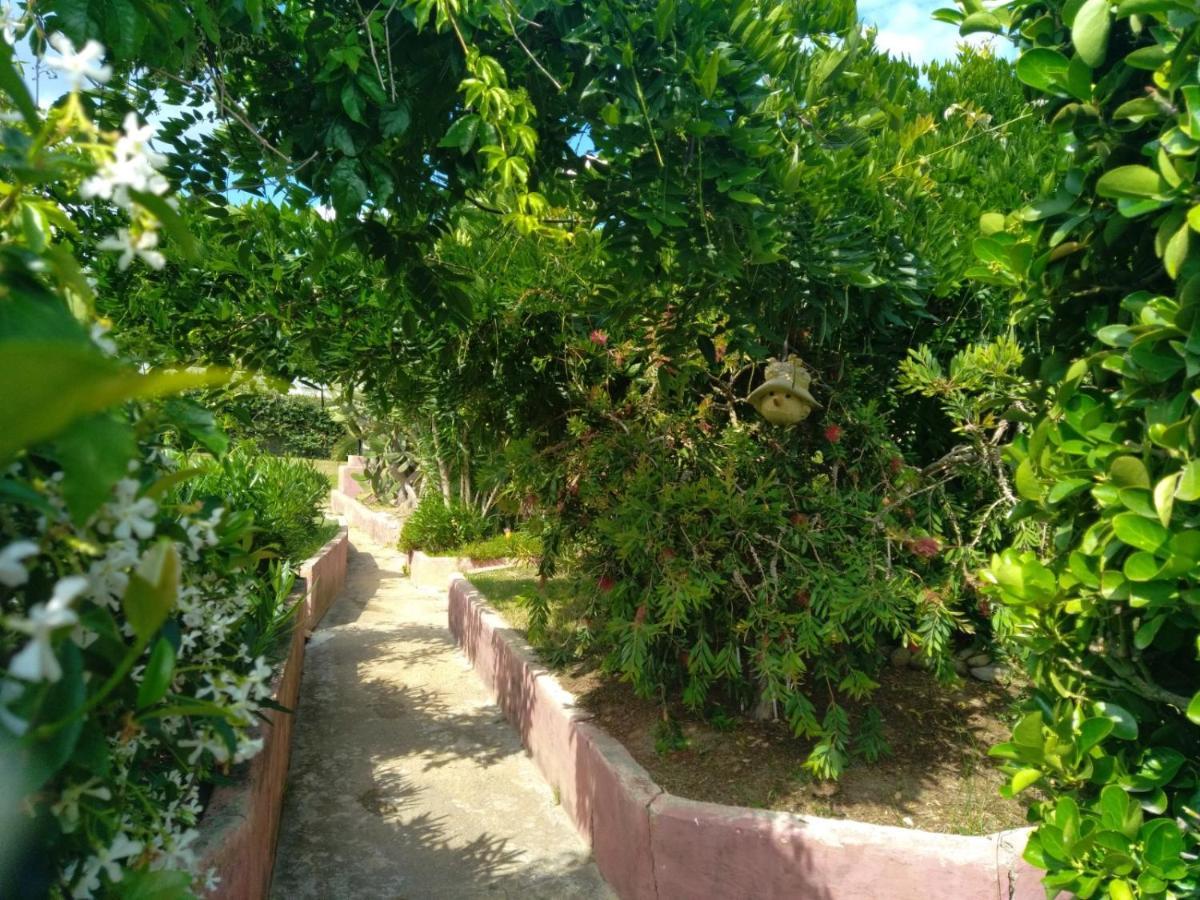 Le Rateau Bavoir Apartment Calvi (Corsica)